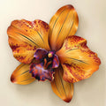 Golden Orchid Flower Metal Wall Art – 2D UV Printed Aluminum Floral Decor