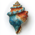 Colorful Conch Shell Metal Wall Art – 2D UV Printed Aluminum Coastal Seashell Decor