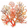 Orange Coral Branch Metal Wall Art – 2D UV Printed Aluminum Coastal Decor